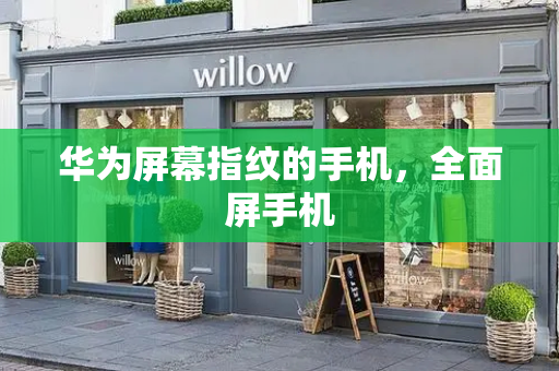 华为屏幕指纹的手机，全面屏手机-第1张图片-星选测评