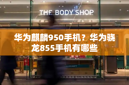 华为麒麟950手机？华为骁龙855手机有哪些-第1张图片-星选测评