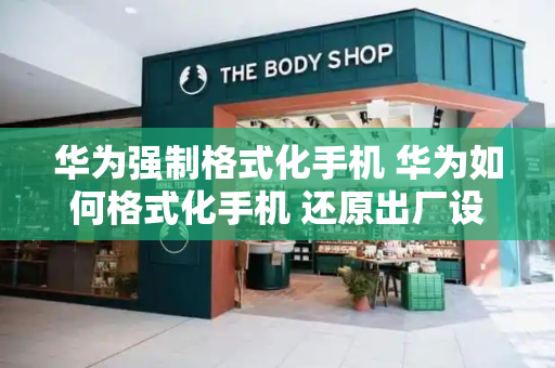 华为强制格式化手机 华为如何格式化手机 还原出厂设置-第1张图片-星选测评