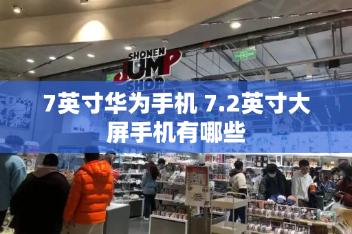 7英寸华为手机 7.2英寸大屏手机有哪些-第1张图片-星选测评