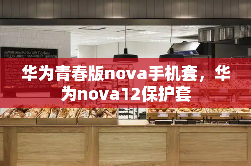 华为青春版nova手机套，华为nova12保护套