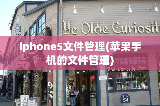 iphone5文件管理(苹果手机的文件管理)