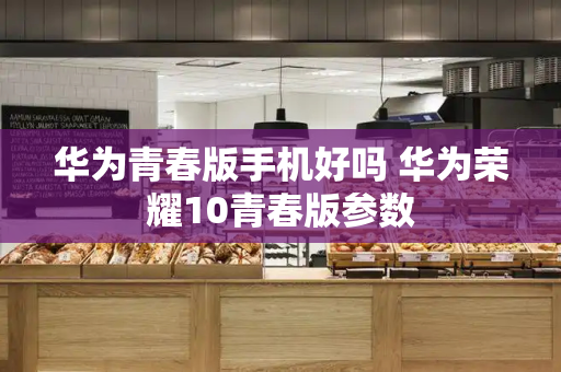 华为青春版手机好吗 华为荣耀10青春版参数-第1张图片-星选测评