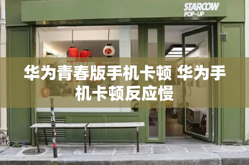 华为青春版手机卡顿 华为手机卡顿反应慢-第1张图片-星选测评