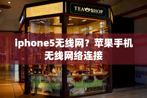 iphone5无线网？苹果手机无线网络连接