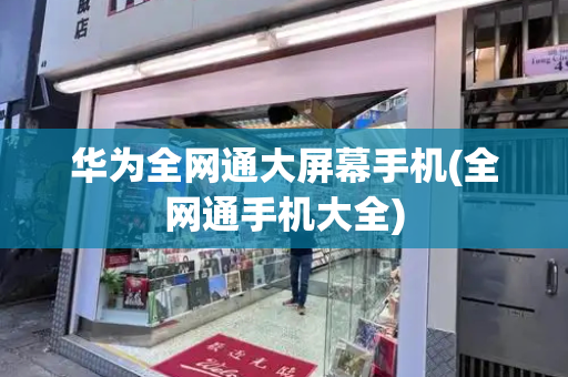 华为全网通大屏幕手机(全网通手机大全)