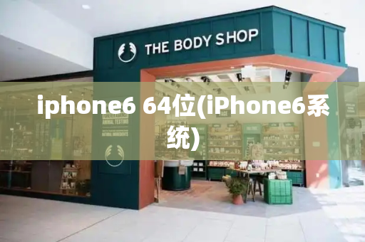 iphone6 64位(iPhone6系统)-第1张图片-星选测评