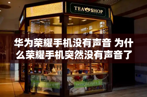 华为荣耀手机没有声音 为什么荣耀手机突然没有声音了