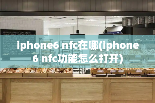 iphone6 nfc在哪(iphone6 nfc功能怎么打开)-第1张图片-星选测评