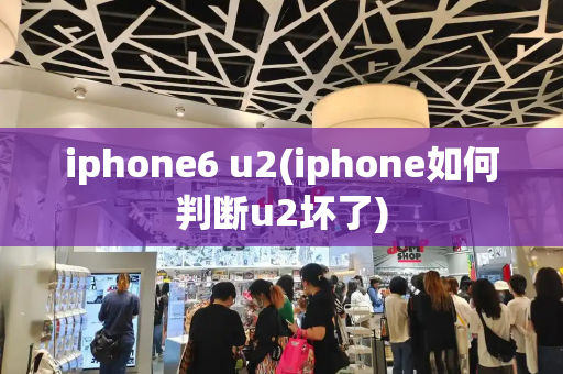 iphone6 u2(iphone如何判断u2坏了)-第1张图片-星选测评