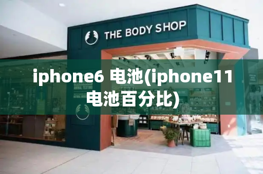 iphone6 电池(iphone11电池百分比)