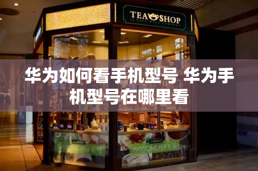 华为如何看手机型号 华为手机型号在哪里看-第1张图片-星选测评