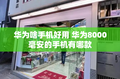 华为啥手机好用 华为8000毫安的手机有哪款
