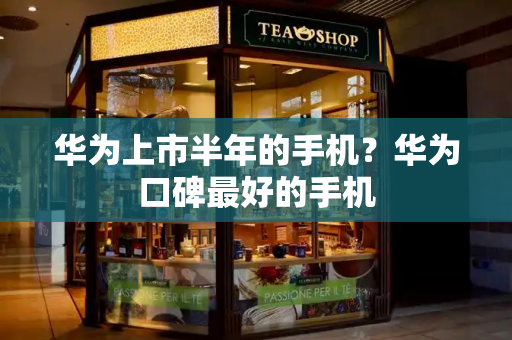 华为上市半年的手机？华为口碑最好的手机-第1张图片-星选测评