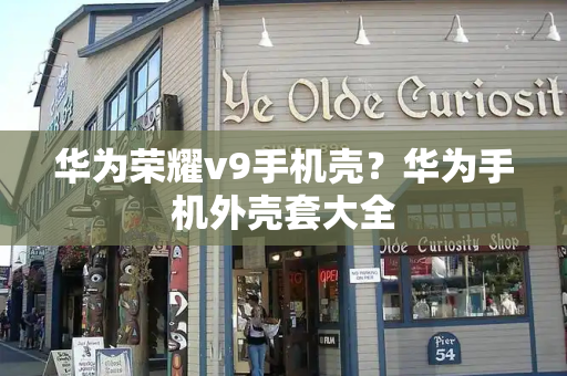 华为荣耀v9手机壳？华为手机外壳套大全