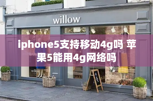 iphone5支持移动4g吗 苹果5能用4g网络吗