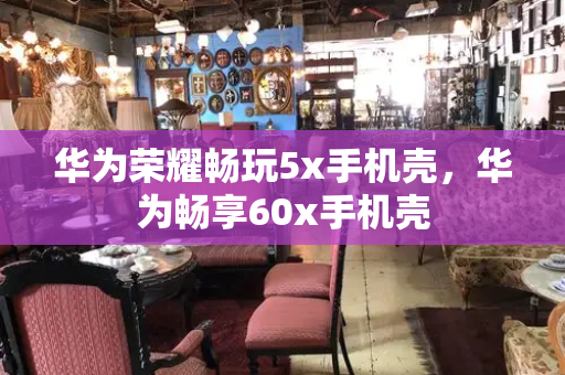 华为荣耀畅玩5x手机壳，华为畅享60x手机壳-第1张图片-星选测评