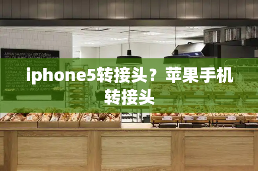iphone5转接头？苹果手机转接头