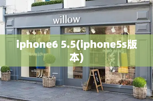 iphone6 5.5(iphone5s版本)-第1张图片-星选测评