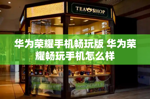 华为荣耀手机畅玩版 华为荣耀畅玩手机怎么样-第1张图片-星选测评