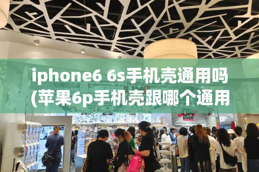 iphone6 6s手机壳通用吗(苹果6p手机壳跟哪个通用)