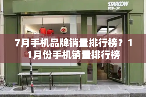 7月手机品牌销量排行榜？11月份手机销量排行榜-第1张图片-星选测评