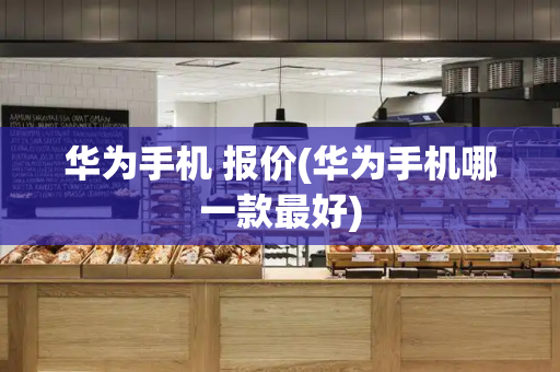 华为手机 报价(华为手机哪一款最好)