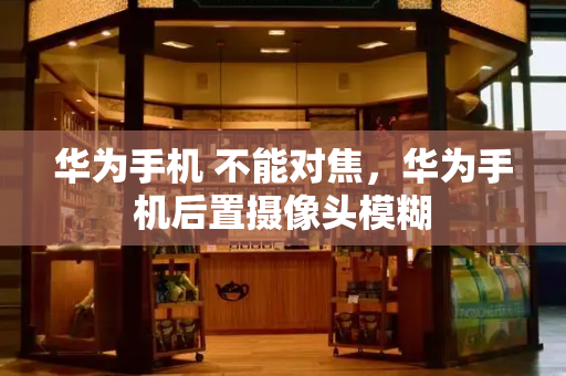 华为手机 不能对焦，华为手机后置摄像头模糊-第1张图片-星选测评