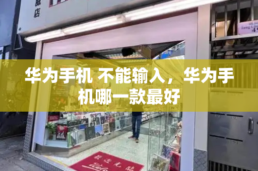 华为手机 不能输入，华为手机哪一款最好-第1张图片-星选测评