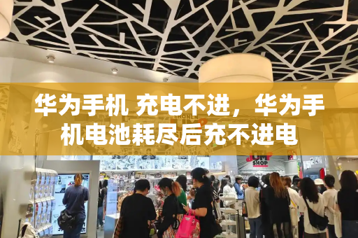 华为手机 充电不进，华为手机电池耗尽后充不进电