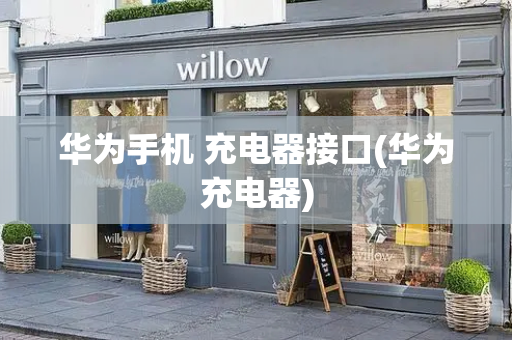 华为手机 充电器接口(华为充电器)