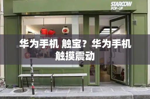 华为手机 触宝？华为手机触摸震动-第1张图片-星选测评