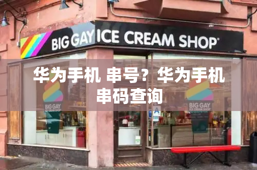 华为手机 串号？华为手机串码查询-第1张图片-星选测评