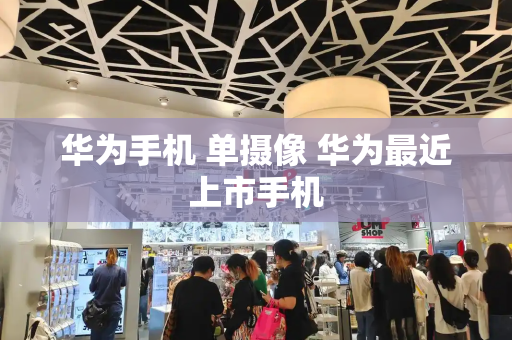 华为手机 单摄像 华为最近上市手机-第1张图片-星选测评