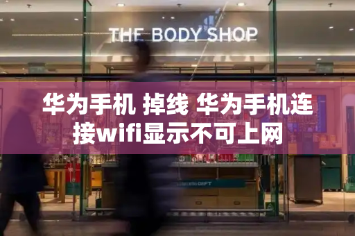 华为手机 掉线 华为手机连接wifi显示不可上网-第1张图片-星选测评