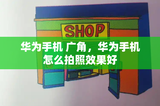 华为手机 广角，华为手机怎么拍照效果好-第1张图片-星选测评