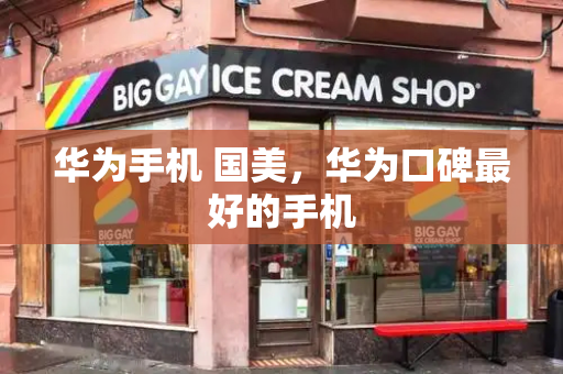 华为手机 国美，华为口碑最好的手机-第1张图片-星选测评