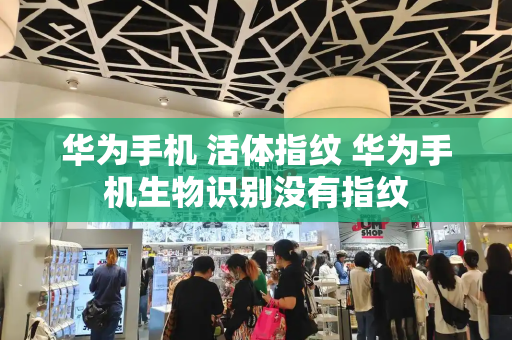 华为手机 活体指纹 华为手机生物识别没有指纹-第1张图片-星选测评