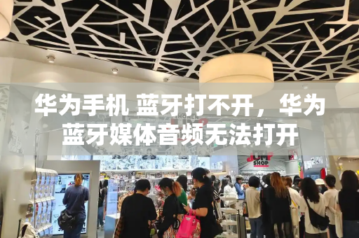 华为手机 蓝牙打不开，华为蓝牙媒体音频无法打开