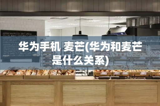 华为手机 麦芒(华为和麦芒是什么关系)-第1张图片-星选测评