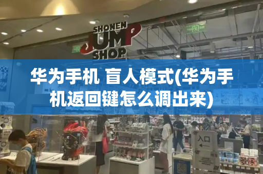 华为手机 盲人模式(华为手机返回键怎么调出来)
