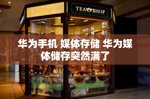 华为手机 媒体存储 华为媒体储存突然满了-第1张图片-星选测评