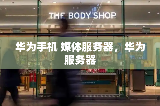 华为手机 媒体服务器，华为服务器