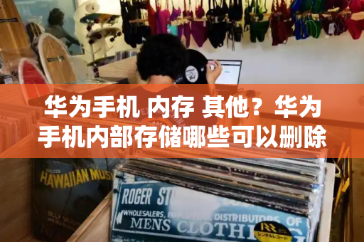 华为手机 内存 其他？华为手机内部存储哪些可以删除-第1张图片-星选测评