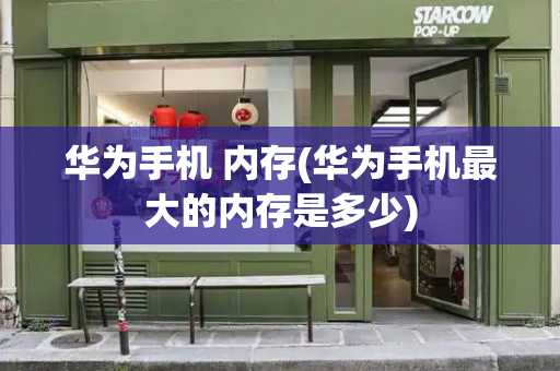 华为手机 内存(华为手机最大的内存是多少)-第1张图片-星选测评