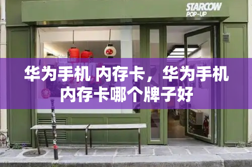 华为手机 内存卡，华为手机内存卡哪个牌子好