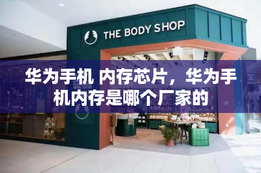 华为手机 内存芯片，华为手机内存是哪个厂家的-第1张图片-星选测评