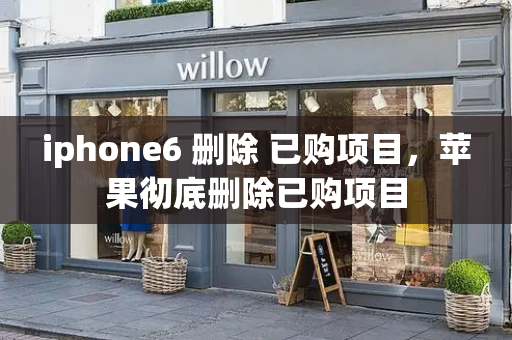 iphone6 删除 已购项目，苹果彻底删除已购项目-第1张图片-星选测评