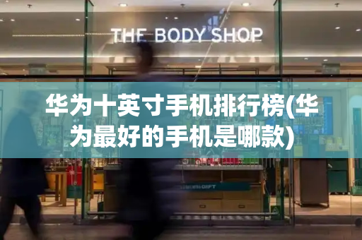 华为十英寸手机排行榜(华为最好的手机是哪款)-第1张图片-星选测评