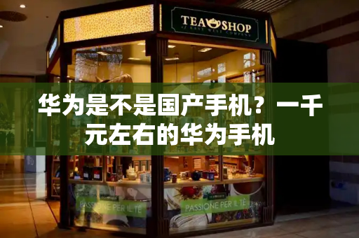 华为是不是国产手机？一千元左右的华为手机-第1张图片-星选测评